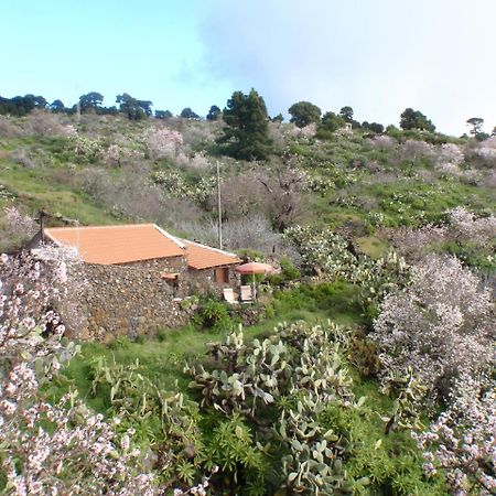 Gasthaus Casa Rural La Jarita El Pinar  Exterior foto