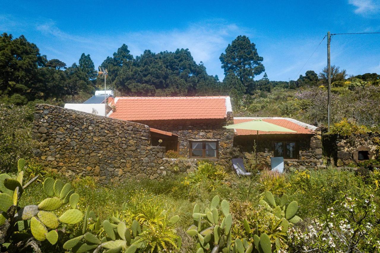 Gasthaus Casa Rural La Jarita El Pinar  Exterior foto