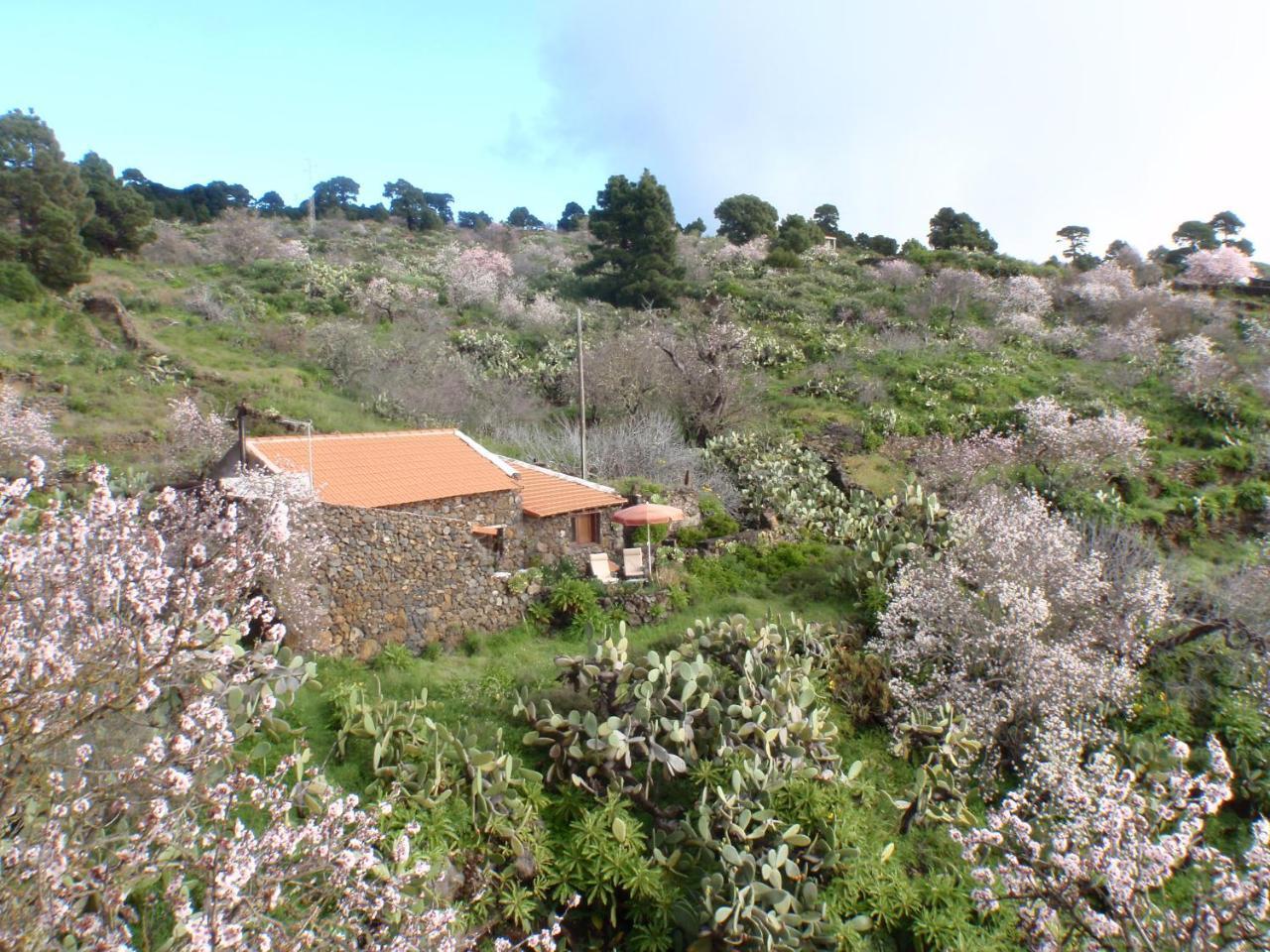 Gasthaus Casa Rural La Jarita El Pinar  Exterior foto